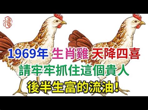 1969 屬雞 五行 缺什麼 八卦玉佩作用